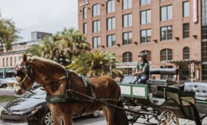 Horse carriage